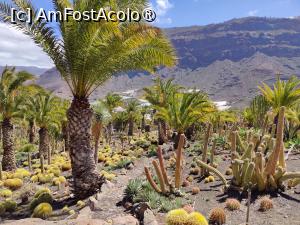 [P22] Cactualdea Park » foto by crismis
 - 
<span class="allrVoted glyphicon glyphicon-heart hidden" id="av1489453"></span>
<a class="m-l-10 hidden" id="sv1489453" onclick="voting_Foto_DelVot(,1489453,13127)" role="button">șterge vot <span class="glyphicon glyphicon-remove"></span></a>
<a id="v91489453" class=" c-red"  onclick="voting_Foto_SetVot(1489453)" role="button"><span class="glyphicon glyphicon-heart-empty"></span> <b>LIKE</b> = Votează poza</a> <img class="hidden"  id="f1489453W9" src="/imagini/loader.gif" border="0" /><span class="AjErrMes hidden" id="e1489453ErM"></span>