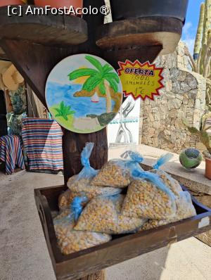 [P24] Cactualdea Park » foto by crismis
 - 
<span class="allrVoted glyphicon glyphicon-heart hidden" id="av1489455"></span>
<a class="m-l-10 hidden" id="sv1489455" onclick="voting_Foto_DelVot(,1489455,13127)" role="button">șterge vot <span class="glyphicon glyphicon-remove"></span></a>
<a id="v91489455" class=" c-red"  onclick="voting_Foto_SetVot(1489455)" role="button"><span class="glyphicon glyphicon-heart-empty"></span> <b>LIKE</b> = Votează poza</a> <img class="hidden"  id="f1489455W9" src="/imagini/loader.gif" border="0" /><span class="AjErrMes hidden" id="e1489455ErM"></span>