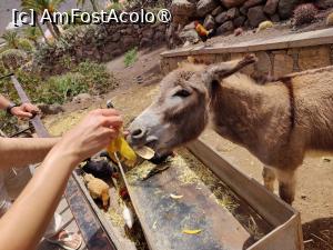 [P26] Cactualdea Park » foto by crismis
 - 
<span class="allrVoted glyphicon glyphicon-heart hidden" id="av1489457"></span>
<a class="m-l-10 hidden" id="sv1489457" onclick="voting_Foto_DelVot(,1489457,13127)" role="button">șterge vot <span class="glyphicon glyphicon-remove"></span></a>
<a id="v91489457" class=" c-red"  onclick="voting_Foto_SetVot(1489457)" role="button"><span class="glyphicon glyphicon-heart-empty"></span> <b>LIKE</b> = Votează poza</a> <img class="hidden"  id="f1489457W9" src="/imagini/loader.gif" border="0" /><span class="AjErrMes hidden" id="e1489457ErM"></span>