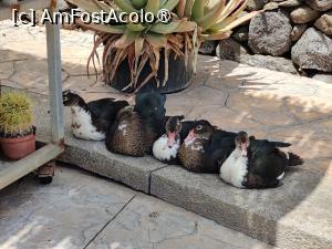 [P27] Cactualdea Park; delegația de primire » foto by crismis
 - 
<span class="allrVoted glyphicon glyphicon-heart hidden" id="av1489458"></span>
<a class="m-l-10 hidden" id="sv1489458" onclick="voting_Foto_DelVot(,1489458,13127)" role="button">șterge vot <span class="glyphicon glyphicon-remove"></span></a>
<a id="v91489458" class=" c-red"  onclick="voting_Foto_SetVot(1489458)" role="button"><span class="glyphicon glyphicon-heart-empty"></span> <b>LIKE</b> = Votează poza</a> <img class="hidden"  id="f1489458W9" src="/imagini/loader.gif" border="0" /><span class="AjErrMes hidden" id="e1489458ErM"></span>