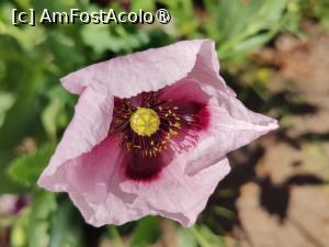 [P15] La pas prin Fataga » foto by crismis
 - 
<span class="allrVoted glyphicon glyphicon-heart hidden" id="av1489642"></span>
<a class="m-l-10 hidden" id="sv1489642" onclick="voting_Foto_DelVot(,1489642,13127)" role="button">șterge vot <span class="glyphicon glyphicon-remove"></span></a>
<a id="v91489642" class=" c-red"  onclick="voting_Foto_SetVot(1489642)" role="button"><span class="glyphicon glyphicon-heart-empty"></span> <b>LIKE</b> = Votează poza</a> <img class="hidden"  id="f1489642W9" src="/imagini/loader.gif" border="0" /><span class="AjErrMes hidden" id="e1489642ErM"></span>