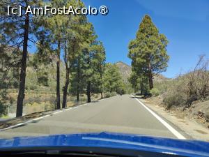 [P16] Prin munții patriei (Gran Canaria) » foto by crismis
 - 
<span class="allrVoted glyphicon glyphicon-heart hidden" id="av1489643"></span>
<a class="m-l-10 hidden" id="sv1489643" onclick="voting_Foto_DelVot(,1489643,13127)" role="button">șterge vot <span class="glyphicon glyphicon-remove"></span></a>
<a id="v91489643" class=" c-red"  onclick="voting_Foto_SetVot(1489643)" role="button"><span class="glyphicon glyphicon-heart-empty"></span> <b>LIKE</b> = Votează poza</a> <img class="hidden"  id="f1489643W9" src="/imagini/loader.gif" border="0" /><span class="AjErrMes hidden" id="e1489643ErM"></span>