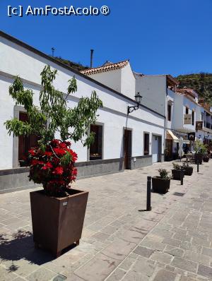 [P30] La pas prin Tejede » foto by crismis
 - 
<span class="allrVoted glyphicon glyphicon-heart hidden" id="av1489657"></span>
<a class="m-l-10 hidden" id="sv1489657" onclick="voting_Foto_DelVot(,1489657,13127)" role="button">șterge vot <span class="glyphicon glyphicon-remove"></span></a>
<a id="v91489657" class=" c-red"  onclick="voting_Foto_SetVot(1489657)" role="button"><span class="glyphicon glyphicon-heart-empty"></span> <b>LIKE</b> = Votează poza</a> <img class="hidden"  id="f1489657W9" src="/imagini/loader.gif" border="0" /><span class="AjErrMes hidden" id="e1489657ErM"></span>