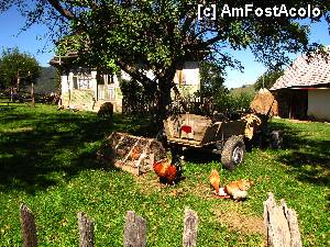 [P05] nu sunt multumit de ce inspira aceasta poza dar... in realitate era ca din poveste... punguta cu doi bani sau ceva tipic romanesc. O batrana la gard care ne-a dat mere, casa veche, cateva oi prin curte, gaini cu un cocos foarte frumos. Regret ca nu am incercat sa surprind mai mult.  » foto by no_oxigen
 - 
<span class="allrVoted glyphicon glyphicon-heart hidden" id="av470720"></span>
<a class="m-l-10 hidden" id="sv470720" onclick="voting_Foto_DelVot(,470720,13179)" role="button">șterge vot <span class="glyphicon glyphicon-remove"></span></a>
<a id="v9470720" class=" c-red"  onclick="voting_Foto_SetVot(470720)" role="button"><span class="glyphicon glyphicon-heart-empty"></span> <b>LIKE</b> = Votează poza</a> <img class="hidden"  id="f470720W9" src="/imagini/loader.gif" border="0" /><span class="AjErrMes hidden" id="e470720ErM"></span>