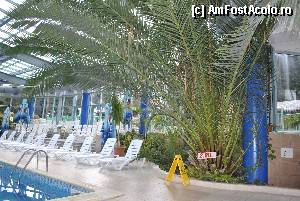 [P16] Acesti palmieri dadeau o impresie fantastica intregului interior. La baza scrie adancimea piscinei + pancarda in care suntem atentionati ca putem aluneca.  » foto by droniucm
 - 
<span class="allrVoted glyphicon glyphicon-heart hidden" id="av384755"></span>
<a class="m-l-10 hidden" id="sv384755" onclick="voting_Foto_DelVot(,384755,13216)" role="button">șterge vot <span class="glyphicon glyphicon-remove"></span></a>
<a id="v9384755" class=" c-red"  onclick="voting_Foto_SetVot(384755)" role="button"><span class="glyphicon glyphicon-heart-empty"></span> <b>LIKE</b> = Votează poza</a> <img class="hidden"  id="f384755W9" src="/imagini/loader.gif" border="0" /><span class="AjErrMes hidden" id="e384755ErM"></span>