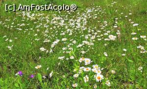 [P24] &Icirc;n spatele cabanei. » foto by BOGDAN DSN
 - 
<span class="allrVoted glyphicon glyphicon-heart hidden" id="av1200961"></span>
<a class="m-l-10 hidden" id="sv1200961" onclick="voting_Foto_DelVot(,1200961,13264)" role="button">șterge vot <span class="glyphicon glyphicon-remove"></span></a>
<a id="v91200961" class=" c-red"  onclick="voting_Foto_SetVot(1200961)" role="button"><span class="glyphicon glyphicon-heart-empty"></span> <b>LIKE</b> = Votează poza</a> <img class="hidden"  id="f1200961W9" src="/imagini/loader.gif" border="0" /><span class="AjErrMes hidden" id="e1200961ErM"></span>