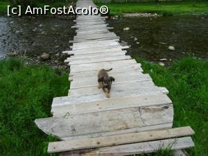 [P15] Pe una din punțile care traversează apa D&acirc;mboviței &icirc;n Sătic. » foto by tata123 🔱
 - 
<span class="allrVoted glyphicon glyphicon-heart hidden" id="av1166158"></span>
<a class="m-l-10 hidden" id="sv1166158" onclick="voting_Foto_DelVot(,1166158,13264)" role="button">șterge vot <span class="glyphicon glyphicon-remove"></span></a>
<a id="v91166158" class=" c-red"  onclick="voting_Foto_SetVot(1166158)" role="button"><span class="glyphicon glyphicon-heart-empty"></span> <b>LIKE</b> = Votează poza</a> <img class="hidden"  id="f1166158W9" src="/imagini/loader.gif" border="0" /><span class="AjErrMes hidden" id="e1166158ErM"></span>