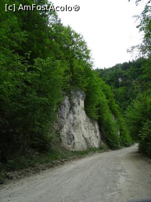 [P03] Intrare &icirc;n Cheile D&acirc;mboviței (drumul asfaltat &icirc;ncepe după curba din zare). » foto by tata123 🔱
 - 
<span class="allrVoted glyphicon glyphicon-heart hidden" id="av1166146"></span>
<a class="m-l-10 hidden" id="sv1166146" onclick="voting_Foto_DelVot(,1166146,13264)" role="button">șterge vot <span class="glyphicon glyphicon-remove"></span></a>
<a id="v91166146" class=" c-red"  onclick="voting_Foto_SetVot(1166146)" role="button"><span class="glyphicon glyphicon-heart-empty"></span> <b>LIKE</b> = Votează poza</a> <img class="hidden"  id="f1166146W9" src="/imagini/loader.gif" border="0" /><span class="AjErrMes hidden" id="e1166146ErM"></span>