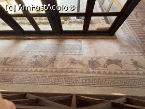 [P31] Nea Paphos » foto by AZE
 - 
<span class="allrVoted glyphicon glyphicon-heart hidden" id="av1496063"></span>
<a class="m-l-10 hidden" id="sv1496063" onclick="voting_Foto_DelVot(,1496063,13279)" role="button">șterge vot <span class="glyphicon glyphicon-remove"></span></a>
<a id="v91496063" class=" c-red"  onclick="voting_Foto_SetVot(1496063)" role="button"><span class="glyphicon glyphicon-heart-empty"></span> <b>LIKE</b> = Votează poza</a> <img class="hidden"  id="f1496063W9" src="/imagini/loader.gif" border="0" /><span class="AjErrMes hidden" id="e1496063ErM"></span>