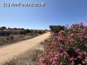 [P26] Tombs of the Kings » foto by AZE
 - 
<span class="allrVoted glyphicon glyphicon-heart hidden" id="av1496919"></span>
<a class="m-l-10 hidden" id="sv1496919" onclick="voting_Foto_DelVot(,1496919,13279)" role="button">șterge vot <span class="glyphicon glyphicon-remove"></span></a>
<a id="v91496919" class=" c-red"  onclick="voting_Foto_SetVot(1496919)" role="button"><span class="glyphicon glyphicon-heart-empty"></span> <b>LIKE</b> = Votează poza</a> <img class="hidden"  id="f1496919W9" src="/imagini/loader.gif" border="0" /><span class="AjErrMes hidden" id="e1496919ErM"></span>