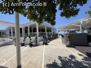 [P39] Paphos,cafeneaua The Muze » foto by AZE
 - 
<span class="allrVoted glyphicon glyphicon-heart hidden" id="av1497469"></span>
<a class="m-l-10 hidden" id="sv1497469" onclick="voting_Foto_DelVot(,1497469,13279)" role="button">șterge vot <span class="glyphicon glyphicon-remove"></span></a>
<a id="v91497469" class=" c-red"  onclick="voting_Foto_SetVot(1497469)" role="button"><span class="glyphicon glyphicon-heart-empty"></span> <b>LIKE</b> = Votează poza</a> <img class="hidden"  id="f1497469W9" src="/imagini/loader.gif" border="0" /><span class="AjErrMes hidden" id="e1497469ErM"></span>