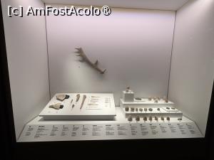 [P13] Muzeul arheologic Paphos » foto by AZE
 - 
<span class="allrVoted glyphicon glyphicon-heart hidden" id="av1498879"></span>
<a class="m-l-10 hidden" id="sv1498879" onclick="voting_Foto_DelVot(,1498879,13279)" role="button">șterge vot <span class="glyphicon glyphicon-remove"></span></a>
<a id="v91498879" class=" c-red"  onclick="voting_Foto_SetVot(1498879)" role="button"><span class="glyphicon glyphicon-heart-empty"></span> <b>LIKE</b> = Votează poza</a> <img class="hidden"  id="f1498879W9" src="/imagini/loader.gif" border="0" /><span class="AjErrMes hidden" id="e1498879ErM"></span>