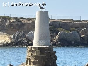 [P20] Coral Bay,un far decor,în vârf tronează un pescăruș » foto by AZE
 - 
<span class="allrVoted glyphicon glyphicon-heart hidden" id="av1500999"></span>
<a class="m-l-10 hidden" id="sv1500999" onclick="voting_Foto_DelVot(,1500999,13279)" role="button">șterge vot <span class="glyphicon glyphicon-remove"></span></a>
<a id="v91500999" class=" c-red"  onclick="voting_Foto_SetVot(1500999)" role="button"><span class="glyphicon glyphicon-heart-empty"></span> <b>LIKE</b> = Votează poza</a> <img class="hidden"  id="f1500999W9" src="/imagini/loader.gif" border="0" /><span class="AjErrMes hidden" id="e1500999ErM"></span>