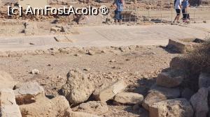[P29] Casa celor patru anotimpuri » foto by Carmen Ion
 - 
<span class="allrVoted glyphicon glyphicon-heart hidden" id="av1475745"></span>
<a class="m-l-10 hidden" id="sv1475745" onclick="voting_Foto_DelVot(,1475745,13279)" role="button">șterge vot <span class="glyphicon glyphicon-remove"></span></a>
<a id="v91475745" class=" c-red"  onclick="voting_Foto_SetVot(1475745)" role="button"><span class="glyphicon glyphicon-heart-empty"></span> <b>LIKE</b> = Votează poza</a> <img class="hidden"  id="f1475745W9" src="/imagini/loader.gif" border="0" /><span class="AjErrMes hidden" id="e1475745ErM"></span>