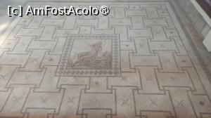[P38] Casa lui Dionysos » foto by Carmen Ion
 - 
<span class="allrVoted glyphicon glyphicon-heart hidden" id="av1475754"></span>
<a class="m-l-10 hidden" id="sv1475754" onclick="voting_Foto_DelVot(,1475754,13279)" role="button">șterge vot <span class="glyphicon glyphicon-remove"></span></a>
<a id="v91475754" class=" c-red"  onclick="voting_Foto_SetVot(1475754)" role="button"><span class="glyphicon glyphicon-heart-empty"></span> <b>LIKE</b> = Votează poza</a> <img class="hidden"  id="f1475754W9" src="/imagini/loader.gif" border="0" /><span class="AjErrMes hidden" id="e1475754ErM"></span>
