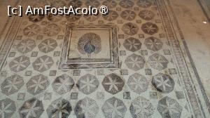 [P39] Casa lui Dionysos » foto by Carmen Ion
 - 
<span class="allrVoted glyphicon glyphicon-heart hidden" id="av1475755"></span>
<a class="m-l-10 hidden" id="sv1475755" onclick="voting_Foto_DelVot(,1475755,13279)" role="button">șterge vot <span class="glyphicon glyphicon-remove"></span></a>
<a id="v91475755" class=" c-red"  onclick="voting_Foto_SetVot(1475755)" role="button"><span class="glyphicon glyphicon-heart-empty"></span> <b>LIKE</b> = Votează poza</a> <img class="hidden"  id="f1475755W9" src="/imagini/loader.gif" border="0" /><span class="AjErrMes hidden" id="e1475755ErM"></span>
