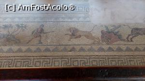 [P42] Casa lui Dionysos » foto by Carmen Ion
 - 
<span class="allrVoted glyphicon glyphicon-heart hidden" id="av1475758"></span>
<a class="m-l-10 hidden" id="sv1475758" onclick="voting_Foto_DelVot(,1475758,13279)" role="button">șterge vot <span class="glyphicon glyphicon-remove"></span></a>
<a id="v91475758" class=" c-red"  onclick="voting_Foto_SetVot(1475758)" role="button"><span class="glyphicon glyphicon-heart-empty"></span> <b>LIKE</b> = Votează poza</a> <img class="hidden"  id="f1475758W9" src="/imagini/loader.gif" border="0" /><span class="AjErrMes hidden" id="e1475758ErM"></span>