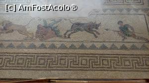 [P43] Casa lui Dionysos » foto by Carmen Ion
 - 
<span class="allrVoted glyphicon glyphicon-heart hidden" id="av1475759"></span>
<a class="m-l-10 hidden" id="sv1475759" onclick="voting_Foto_DelVot(,1475759,13279)" role="button">șterge vot <span class="glyphicon glyphicon-remove"></span></a>
<a id="v91475759" class=" c-red"  onclick="voting_Foto_SetVot(1475759)" role="button"><span class="glyphicon glyphicon-heart-empty"></span> <b>LIKE</b> = Votează poza</a> <img class="hidden"  id="f1475759W9" src="/imagini/loader.gif" border="0" /><span class="AjErrMes hidden" id="e1475759ErM"></span>