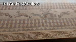 [P44] Casa lui Dionysos » foto by Carmen Ion
 - 
<span class="allrVoted glyphicon glyphicon-heart hidden" id="av1475760"></span>
<a class="m-l-10 hidden" id="sv1475760" onclick="voting_Foto_DelVot(,1475760,13279)" role="button">șterge vot <span class="glyphicon glyphicon-remove"></span></a>
<a id="v91475760" class=" c-red"  onclick="voting_Foto_SetVot(1475760)" role="button"><span class="glyphicon glyphicon-heart-empty"></span> <b>LIKE</b> = Votează poza</a> <img class="hidden"  id="f1475760W9" src="/imagini/loader.gif" border="0" /><span class="AjErrMes hidden" id="e1475760ErM"></span>