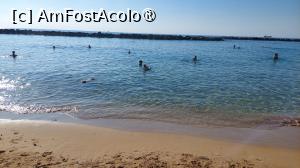 [P42] Venus Beach » foto by Carmen Ion
 - 
<span class="allrVoted glyphicon glyphicon-heart hidden" id="av1476365"></span>
<a class="m-l-10 hidden" id="sv1476365" onclick="voting_Foto_DelVot(,1476365,13279)" role="button">șterge vot <span class="glyphicon glyphicon-remove"></span></a>
<a id="v91476365" class=" c-red"  onclick="voting_Foto_SetVot(1476365)" role="button"><span class="glyphicon glyphicon-heart-empty"></span> <b>LIKE</b> = Votează poza</a> <img class="hidden"  id="f1476365W9" src="/imagini/loader.gif" border="0" /><span class="AjErrMes hidden" id="e1476365ErM"></span>