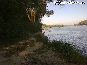 [P17]  -- <small>// FĂRĂ DESCRIERE</small> » foto by filotegheorghe
 - 
<span class="allrVoted glyphicon glyphicon-heart hidden" id="av401184"></span>
<a class="m-l-10 hidden" id="sv401184" onclick="voting_Foto_DelVot(,401184,13289)" role="button">șterge vot <span class="glyphicon glyphicon-remove"></span></a>
<a id="v9401184" class=" c-red"  onclick="voting_Foto_SetVot(401184)" role="button"><span class="glyphicon glyphicon-heart-empty"></span> <b>LIKE</b> = Votează poza</a> <img class="hidden"  id="f401184W9" src="/imagini/loader.gif" border="0" /><span class="AjErrMes hidden" id="e401184ErM"></span>