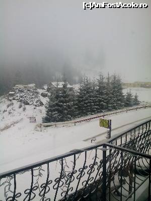 [P02]  -- <small>// FĂRĂ DESCRIERE</small> » foto by Ionelaoros
 - 
<span class="allrVoted glyphicon glyphicon-heart hidden" id="av705045"></span>
<a class="m-l-10 hidden" id="sv705045" onclick="voting_Foto_DelVot(,705045,13354)" role="button">șterge vot <span class="glyphicon glyphicon-remove"></span></a>
<a id="v9705045" class=" c-red"  onclick="voting_Foto_SetVot(705045)" role="button"><span class="glyphicon glyphicon-heart-empty"></span> <b>LIKE</b> = Votează poza</a> <img class="hidden"  id="f705045W9" src="/imagini/loader.gif" border="0" /><span class="AjErrMes hidden" id="e705045ErM"></span>