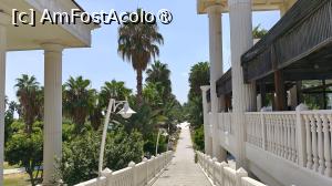 [P25] DEFNE KUMUL DELUXE » foto by elenaadina
 - 
<span class="allrVoted glyphicon glyphicon-heart hidden" id="av1496752"></span>
<a class="m-l-10 hidden" id="sv1496752" onclick="voting_Foto_DelVot(,1496752,13405)" role="button">șterge vot <span class="glyphicon glyphicon-remove"></span></a>
<a id="v91496752" class=" c-red"  onclick="voting_Foto_SetVot(1496752)" role="button"><span class="glyphicon glyphicon-heart-empty"></span> <b>LIKE</b> = Votează poza</a> <img class="hidden"  id="f1496752W9" src="/imagini/loader.gif" border="0" /><span class="AjErrMes hidden" id="e1496752ErM"></span>