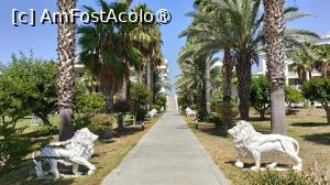 [P26] DEFNE KUMUL DELUXE » foto by elenaadina
 - 
<span class="allrVoted glyphicon glyphicon-heart hidden" id="av1496753"></span>
<a class="m-l-10 hidden" id="sv1496753" onclick="voting_Foto_DelVot(,1496753,13405)" role="button">șterge vot <span class="glyphicon glyphicon-remove"></span></a>
<a id="v91496753" class=" c-red"  onclick="voting_Foto_SetVot(1496753)" role="button"><span class="glyphicon glyphicon-heart-empty"></span> <b>LIKE</b> = Votează poza</a> <img class="hidden"  id="f1496753W9" src="/imagini/loader.gif" border="0" /><span class="AjErrMes hidden" id="e1496753ErM"></span>