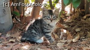 [P30] DEFNE KUMUL DELUXE » foto by elenaadina
 - 
<span class="allrVoted glyphicon glyphicon-heart hidden" id="av1496757"></span>
<a class="m-l-10 hidden" id="sv1496757" onclick="voting_Foto_DelVot(,1496757,13405)" role="button">șterge vot <span class="glyphicon glyphicon-remove"></span></a>
<a id="v91496757" class=" c-red"  onclick="voting_Foto_SetVot(1496757)" role="button"><span class="glyphicon glyphicon-heart-empty"></span> <b>LIKE</b> = Votează poza</a> <img class="hidden"  id="f1496757W9" src="/imagini/loader.gif" border="0" /><span class="AjErrMes hidden" id="e1496757ErM"></span>