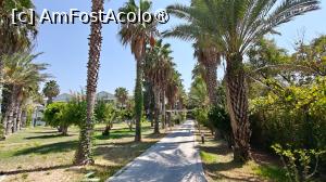 [P37] DEFNE KUMUL DELUXE » foto by elenaadina
 - 
<span class="allrVoted glyphicon glyphicon-heart hidden" id="av1496764"></span>
<a class="m-l-10 hidden" id="sv1496764" onclick="voting_Foto_DelVot(,1496764,13405)" role="button">șterge vot <span class="glyphicon glyphicon-remove"></span></a>
<a id="v91496764" class=" c-red"  onclick="voting_Foto_SetVot(1496764)" role="button"><span class="glyphicon glyphicon-heart-empty"></span> <b>LIKE</b> = Votează poza</a> <img class="hidden"  id="f1496764W9" src="/imagini/loader.gif" border="0" /><span class="AjErrMes hidden" id="e1496764ErM"></span>