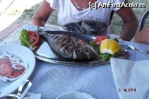[P23] dorada la Athos » foto by aricel
 - 
<span class="allrVoted glyphicon glyphicon-heart hidden" id="av516638"></span>
<a class="m-l-10 hidden" id="sv516638" onclick="voting_Foto_DelVot(,516638,13411)" role="button">șterge vot <span class="glyphicon glyphicon-remove"></span></a>
<a id="v9516638" class=" c-red"  onclick="voting_Foto_SetVot(516638)" role="button"><span class="glyphicon glyphicon-heart-empty"></span> <b>LIKE</b> = Votează poza</a> <img class="hidden"  id="f516638W9" src="/imagini/loader.gif" border="0" /><span class="AjErrMes hidden" id="e516638ErM"></span>