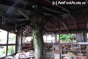 [P32] interiorul tavernei din Paleo » foto by aricel
 - 
<span class="allrVoted glyphicon glyphicon-heart hidden" id="av516654"></span>
<a class="m-l-10 hidden" id="sv516654" onclick="voting_Foto_DelVot(,516654,13411)" role="button">șterge vot <span class="glyphicon glyphicon-remove"></span></a>
<a id="v9516654" class=" c-red"  onclick="voting_Foto_SetVot(516654)" role="button"><span class="glyphicon glyphicon-heart-empty"></span> <b>LIKE</b> = Votează poza</a> <img class="hidden"  id="f516654W9" src="/imagini/loader.gif" border="0" /><span class="AjErrMes hidden" id="e516654ErM"></span>