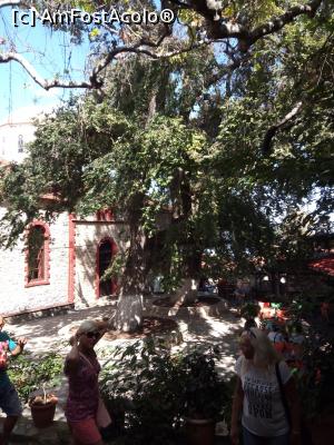 [P06] piata cu biserica » foto by ile57b
 - 
<span class="allrVoted glyphicon glyphicon-heart hidden" id="av1294993"></span>
<a class="m-l-10 hidden" id="sv1294993" onclick="voting_Foto_DelVot(,1294993,13411)" role="button">șterge vot <span class="glyphicon glyphicon-remove"></span></a>
<a id="v91294993" class=" c-red"  onclick="voting_Foto_SetVot(1294993)" role="button"><span class="glyphicon glyphicon-heart-empty"></span> <b>LIKE</b> = Votează poza</a> <img class="hidden"  id="f1294993W9" src="/imagini/loader.gif" border="0" /><span class="AjErrMes hidden" id="e1294993ErM"></span>