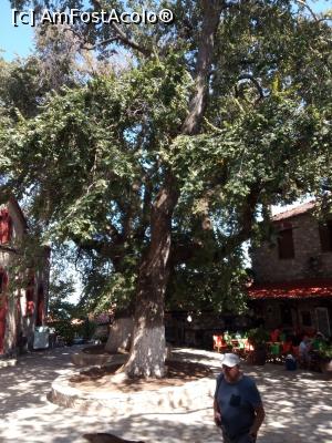 [P07] piata cu platanul » foto by ile57b
 - 
<span class="allrVoted glyphicon glyphicon-heart hidden" id="av1294994"></span>
<a class="m-l-10 hidden" id="sv1294994" onclick="voting_Foto_DelVot(,1294994,13411)" role="button">șterge vot <span class="glyphicon glyphicon-remove"></span></a>
<a id="v91294994" class=" c-red"  onclick="voting_Foto_SetVot(1294994)" role="button"><span class="glyphicon glyphicon-heart-empty"></span> <b>LIKE</b> = Votează poza</a> <img class="hidden"  id="f1294994W9" src="/imagini/loader.gif" border="0" /><span class="AjErrMes hidden" id="e1294994ErM"></span>