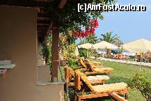 [P01]  -- <small>// FĂRĂ DESCRIERE</small> » foto by November
 - 
<span class="allrVoted glyphicon glyphicon-heart hidden" id="av395532"></span>
<a class="m-l-10 hidden" id="sv395532" onclick="voting_Foto_DelVot(,395532,13496)" role="button">șterge vot <span class="glyphicon glyphicon-remove"></span></a>
<a id="v9395532" class=" c-red"  onclick="voting_Foto_SetVot(395532)" role="button"><span class="glyphicon glyphicon-heart-empty"></span> <b>LIKE</b> = Votează poza</a> <img class="hidden"  id="f395532W9" src="/imagini/loader.gif" border="0" /><span class="AjErrMes hidden" id="e395532ErM"></span>