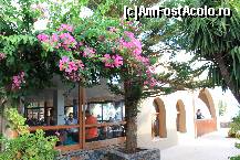 [P03]  -- <small>// FĂRĂ DESCRIERE</small> » foto by November
 - 
<span class="allrVoted glyphicon glyphicon-heart hidden" id="av395534"></span>
<a class="m-l-10 hidden" id="sv395534" onclick="voting_Foto_DelVot(,395534,13496)" role="button">șterge vot <span class="glyphicon glyphicon-remove"></span></a>
<a id="v9395534" class=" c-red"  onclick="voting_Foto_SetVot(395534)" role="button"><span class="glyphicon glyphicon-heart-empty"></span> <b>LIKE</b> = Votează poza</a> <img class="hidden"  id="f395534W9" src="/imagini/loader.gif" border="0" /><span class="AjErrMes hidden" id="e395534ErM"></span>