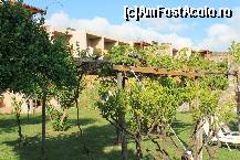 [P04]  -- <small>// FĂRĂ DESCRIERE</small> » foto by November
 - 
<span class="allrVoted glyphicon glyphicon-heart hidden" id="av395535"></span>
<a class="m-l-10 hidden" id="sv395535" onclick="voting_Foto_DelVot(,395535,13496)" role="button">șterge vot <span class="glyphicon glyphicon-remove"></span></a>
<a id="v9395535" class=" c-red"  onclick="voting_Foto_SetVot(395535)" role="button"><span class="glyphicon glyphicon-heart-empty"></span> <b>LIKE</b> = Votează poza</a> <img class="hidden"  id="f395535W9" src="/imagini/loader.gif" border="0" /><span class="AjErrMes hidden" id="e395535ErM"></span>