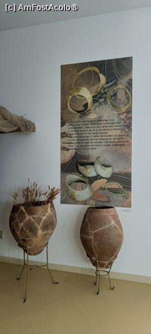 [P11] Exponate în Sala locuinței. » foto by tata123 🔱
 - 
<span class="allrVoted glyphicon glyphicon-heart hidden" id="av1501206"></span>
<a class="m-l-10 hidden" id="sv1501206" onclick="voting_Foto_DelVot(,1501206,13516)" role="button">șterge vot <span class="glyphicon glyphicon-remove"></span></a>
<a id="v91501206" class=" c-red"  onclick="voting_Foto_SetVot(1501206)" role="button"><span class="glyphicon glyphicon-heart-empty"></span> <b>LIKE</b> = Votează poza</a> <img class="hidden"  id="f1501206W9" src="/imagini/loader.gif" border="0" /><span class="AjErrMes hidden" id="e1501206ErM"></span>