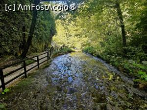 [P16] Cascada Marmore - traseul nr 2 » foto by Chloe
 - 
<span class="allrVoted glyphicon glyphicon-heart hidden" id="av1451978"></span>
<a class="m-l-10 hidden" id="sv1451978" onclick="voting_Foto_DelVot(,1451978,13517)" role="button">șterge vot <span class="glyphicon glyphicon-remove"></span></a>
<a id="v91451978" class=" c-red"  onclick="voting_Foto_SetVot(1451978)" role="button"><span class="glyphicon glyphicon-heart-empty"></span> <b>LIKE</b> = Votează poza</a> <img class="hidden"  id="f1451978W9" src="/imagini/loader.gif" border="0" /><span class="AjErrMes hidden" id="e1451978ErM"></span>