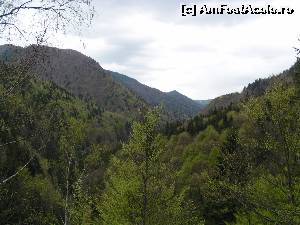 [P01] Ieșirea din Tunelul din Cheile Tișiței și vedere spre Valea Largă » foto by Yersinia Pestis
 - 
<span class="allrVoted glyphicon glyphicon-heart hidden" id="av578958"></span>
<a class="m-l-10 hidden" id="sv578958" onclick="voting_Foto_DelVot(,578958,13521)" role="button">șterge vot <span class="glyphicon glyphicon-remove"></span></a>
<a id="v9578958" class=" c-red"  onclick="voting_Foto_SetVot(578958)" role="button"><span class="glyphicon glyphicon-heart-empty"></span> <b>LIKE</b> = Votează poza</a> <img class="hidden"  id="f578958W9" src="/imagini/loader.gif" border="0" /><span class="AjErrMes hidden" id="e578958ErM"></span>