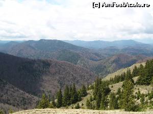 [P10] La Cârnituri, lângă Vf. Cristianu. În spate, Valea Tișițelor » foto by Yersinia Pestis
 - 
<span class="allrVoted glyphicon glyphicon-heart hidden" id="av578967"></span>
<a class="m-l-10 hidden" id="sv578967" onclick="voting_Foto_DelVot(,578967,13521)" role="button">șterge vot <span class="glyphicon glyphicon-remove"></span></a>
<a id="v9578967" class=" c-red"  onclick="voting_Foto_SetVot(578967)" role="button"><span class="glyphicon glyphicon-heart-empty"></span> <b>LIKE</b> = Votează poza</a> <img class="hidden"  id="f578967W9" src="/imagini/loader.gif" border="0" /><span class="AjErrMes hidden" id="e578967ErM"></span>