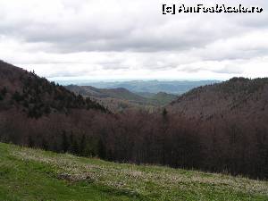 [P05] Vedere spre Cheile Tișiței » foto by Yersinia Pestis
 - 
<span class="allrVoted glyphicon glyphicon-heart hidden" id="av578962"></span>
<a class="m-l-10 hidden" id="sv578962" onclick="voting_Foto_DelVot(,578962,13521)" role="button">șterge vot <span class="glyphicon glyphicon-remove"></span></a>
<a id="v9578962" class=" c-red"  onclick="voting_Foto_SetVot(578962)" role="button"><span class="glyphicon glyphicon-heart-empty"></span> <b>LIKE</b> = Votează poza</a> <img class="hidden"  id="f578962W9" src="/imagini/loader.gif" border="0" /><span class="AjErrMes hidden" id="e578962ErM"></span>