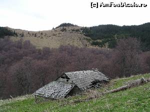 [P06] Stâna de la Golu Roibului » foto by Yersinia Pestis
 - 
<span class="allrVoted glyphicon glyphicon-heart hidden" id="av578963"></span>
<a class="m-l-10 hidden" id="sv578963" onclick="voting_Foto_DelVot(,578963,13521)" role="button">șterge vot <span class="glyphicon glyphicon-remove"></span></a>
<a id="v9578963" class=" c-red"  onclick="voting_Foto_SetVot(578963)" role="button"><span class="glyphicon glyphicon-heart-empty"></span> <b>LIKE</b> = Votează poza</a> <img class="hidden"  id="f578963W9" src="/imagini/loader.gif" border="0" /><span class="AjErrMes hidden" id="e578963ErM"></span>