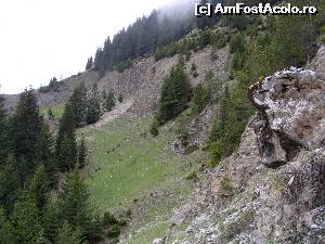 [P08] La Uluce, spre Șaua Geamăna » foto by Yersinia Pestis
 - 
<span class="allrVoted glyphicon glyphicon-heart hidden" id="av578965"></span>
<a class="m-l-10 hidden" id="sv578965" onclick="voting_Foto_DelVot(,578965,13521)" role="button">șterge vot <span class="glyphicon glyphicon-remove"></span></a>
<a id="v9578965" class=" c-red"  onclick="voting_Foto_SetVot(578965)" role="button"><span class="glyphicon glyphicon-heart-empty"></span> <b>LIKE</b> = Votează poza</a> <img class="hidden"  id="f578965W9" src="/imagini/loader.gif" border="0" /><span class="AjErrMes hidden" id="e578965ErM"></span>