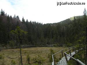 [P10] În capăt este Lacul Negru » foto by Yersinia Pestis
 - 
<span class="allrVoted glyphicon glyphicon-heart hidden" id="av579102"></span>
<a class="m-l-10 hidden" id="sv579102" onclick="voting_Foto_DelVot(,579102,13521)" role="button">șterge vot <span class="glyphicon glyphicon-remove"></span></a>
<a id="v9579102" class=" c-red"  onclick="voting_Foto_SetVot(579102)" role="button"><span class="glyphicon glyphicon-heart-empty"></span> <b>LIKE</b> = Votează poza</a> <img class="hidden"  id="f579102W9" src="/imagini/loader.gif" border="0" /><span class="AjErrMes hidden" id="e579102ErM"></span>