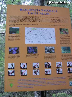 [P08] am ajuns la Rezervația Lacul Negru » foto by Yersinia Pestis
 - 
<span class="allrVoted glyphicon glyphicon-heart hidden" id="av579100"></span>
<a class="m-l-10 hidden" id="sv579100" onclick="voting_Foto_DelVot(,579100,13521)" role="button">șterge vot <span class="glyphicon glyphicon-remove"></span></a>
<a id="v9579100" class=" c-red"  onclick="voting_Foto_SetVot(579100)" role="button"><span class="glyphicon glyphicon-heart-empty"></span> <b>LIKE</b> = Votează poza</a> <img class="hidden"  id="f579100W9" src="/imagini/loader.gif" border="0" /><span class="AjErrMes hidden" id="e579100ErM"></span>