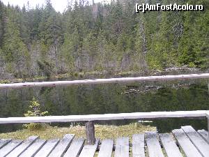 [P09] Pontonul spre Lacul Negru. Era cam dărăpănat atunci. În noiembrie 2014 aveam să revin aici, pontonul era reparat » foto by Yersinia Pestis
 - 
<span class="allrVoted glyphicon glyphicon-heart hidden" id="av579101"></span>
<a class="m-l-10 hidden" id="sv579101" onclick="voting_Foto_DelVot(,579101,13521)" role="button">șterge vot <span class="glyphicon glyphicon-remove"></span></a>
<a id="v9579101" class=" c-red"  onclick="voting_Foto_SetVot(579101)" role="button"><span class="glyphicon glyphicon-heart-empty"></span> <b>LIKE</b> = Votează poza</a> <img class="hidden"  id="f579101W9" src="/imagini/loader.gif" border="0" /><span class="AjErrMes hidden" id="e579101ErM"></span>