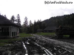[P24] Cabana de la SAM Gociu. Pe vremuri, de aici începea calea ferată îngustă » foto by Yersinia Pestis
 - 
<span class="allrVoted glyphicon glyphicon-heart hidden" id="av579319"></span>
<a class="m-l-10 hidden" id="sv579319" onclick="voting_Foto_DelVot(,579319,13521)" role="button">șterge vot <span class="glyphicon glyphicon-remove"></span></a>
<a id="v9579319" class=" c-red"  onclick="voting_Foto_SetVot(579319)" role="button"><span class="glyphicon glyphicon-heart-empty"></span> <b>LIKE</b> = Votează poza</a> <img class="hidden"  id="f579319W9" src="/imagini/loader.gif" border="0" /><span class="AjErrMes hidden" id="e579319ErM"></span>
