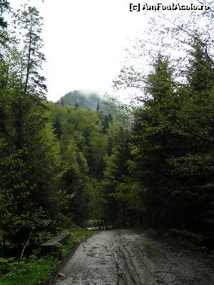 [P30] Drumul forestier spre Herăstrău - Nistorești » foto by Yersinia Pestis
 - 
<span class="allrVoted glyphicon glyphicon-heart hidden" id="av579325"></span>
<a class="m-l-10 hidden" id="sv579325" onclick="voting_Foto_DelVot(,579325,13521)" role="button">șterge vot <span class="glyphicon glyphicon-remove"></span></a>
<a id="v9579325" class=" c-red"  onclick="voting_Foto_SetVot(579325)" role="button"><span class="glyphicon glyphicon-heart-empty"></span> <b>LIKE</b> = Votează poza</a> <img class="hidden"  id="f579325W9" src="/imagini/loader.gif" border="0" /><span class="AjErrMes hidden" id="e579325ErM"></span>