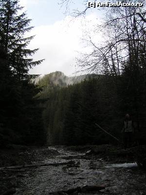 [P07] Valea Zăbalei, unul dintre cele mai frumoase râuri din Vrancea, ba, de ce nu, din țară » foto by Yersinia Pestis
 - 
<span class="allrVoted glyphicon glyphicon-heart hidden" id="av579285"></span>
<a class="m-l-10 hidden" id="sv579285" onclick="voting_Foto_DelVot(,579285,13521)" role="button">șterge vot <span class="glyphicon glyphicon-remove"></span></a>
<a id="v9579285" class=" c-red"  onclick="voting_Foto_SetVot(579285)" role="button"><span class="glyphicon glyphicon-heart-empty"></span> <b>LIKE</b> = Votează poza</a> <img class="hidden"  id="f579285W9" src="/imagini/loader.gif" border="0" /><span class="AjErrMes hidden" id="e579285ErM"></span>